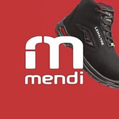 Proyecto Mendi
